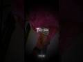 Chaleya Song Aesthetic Lyrics Video Chaleya Song 4k Status Video Lyrics Aesthetic Video