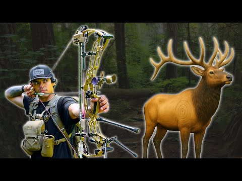 Solo 3d archery shoot with the Hoyt AX2