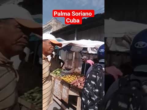 Palma Soriano Calle Paquito Borrero #palmasoriano #santiagodecuba #cuba