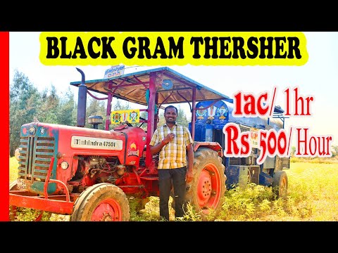 உளுந்து அடிக்கும் இயந்திரம் (Black Gram Harvester) |Tiffin Carrier Video