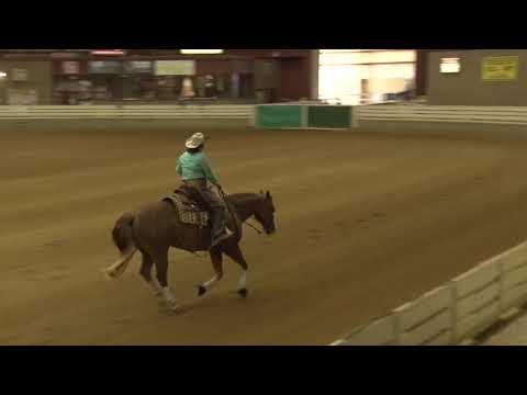 190727 Rookie Terri Taffer on FS Lightn up Gunner