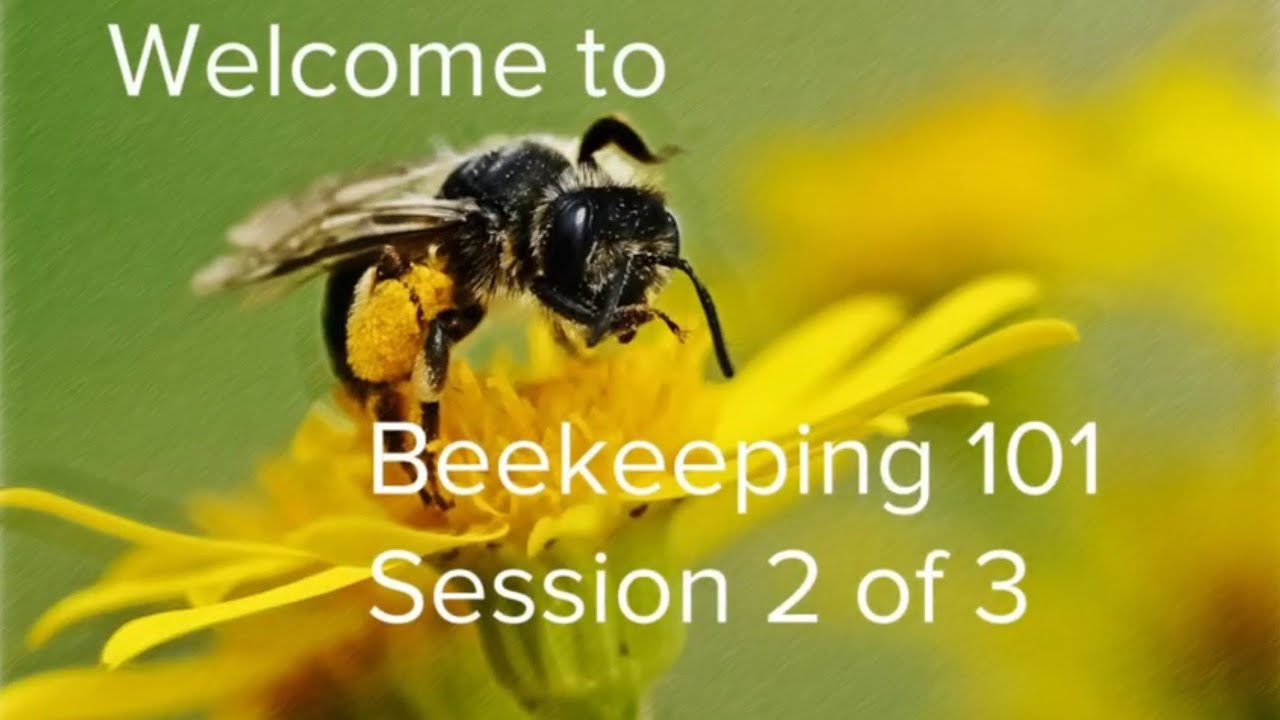 MGCBA Beekeeping 101 Session 2