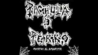 Pichula E Perro - Sin Reaccion