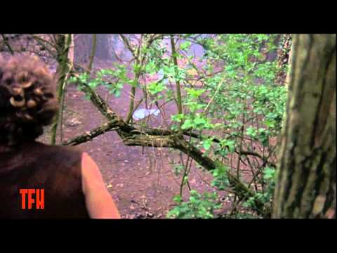 Joe Dante on BLOOD ON SATAN'S CLAW