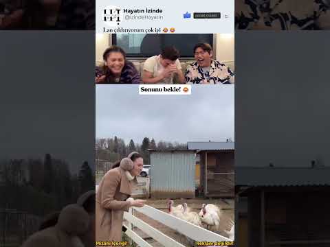 Lan çıldırıyorum çok iyi 😂😂