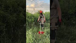 Χορτοκοπτικό Viper Pro BC502 με χρήση καταστροφέα