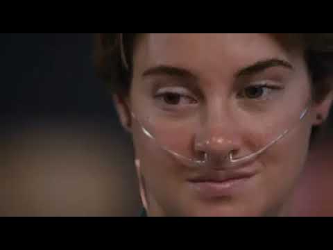 película  Bajo La Misma Estrella