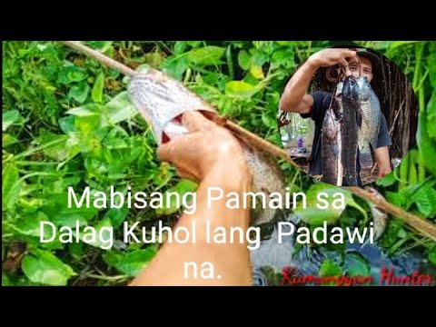 Dalag walang kawala sa Pangangawil,w/ Hunt ng Barakong Tilapia.and shoutout..