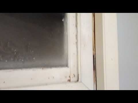 Snow Storm in Great Falls, Montana