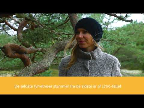 Indenfor 1 Time - Tisvildeleje - Bus