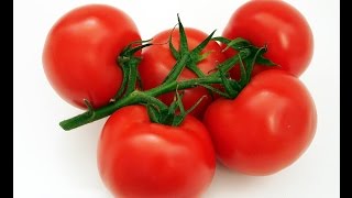 Die Wallerts mit Tomatensalat 1 STUNDE EXTENDED DIRECTORS CUT