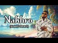 Nakhro Official Video DJ Flow Ft Pranjal Dahiya New Punjabi Song 2024
