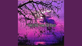 Download lagu Feel Only Love Full Bass mp3