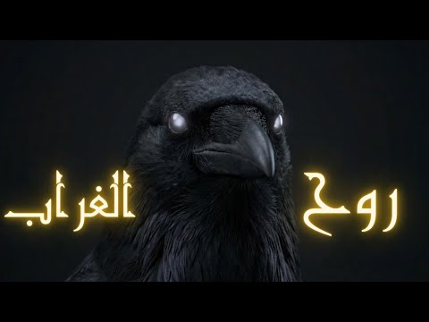 سيزرية روح الغراب , جلب الحبيب حتى لو كان تحت التراب🔥🔥🔥🔥🔥🔥