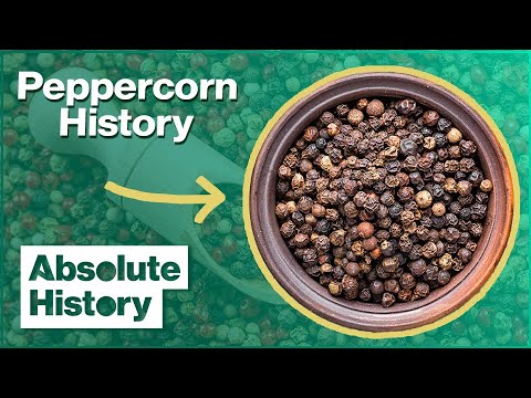 Where Pepper & Cinnamon Came From | The Spice Trail | Absolute History