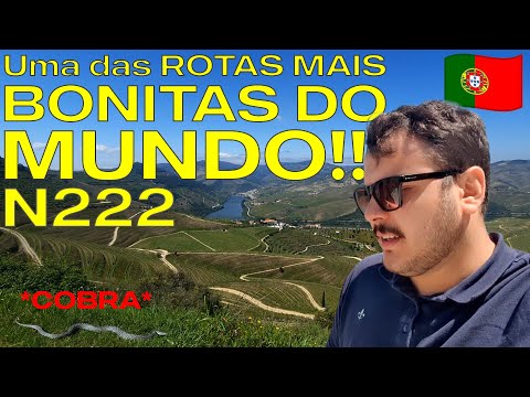 VIAGEM PORTUGAL: Estrada N222 – A Estrada Mais Bonita do Mundo pelo Vale do Douro (VLOG)