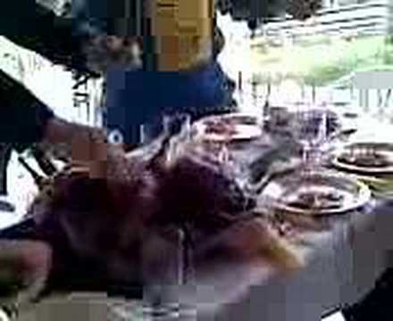 h petsa ola ta lefta..