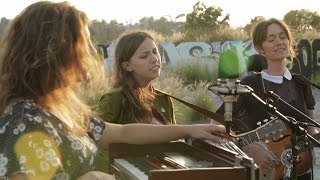 The Wild Reeds - "Run 'n Hide" // The Bluegrass Situation