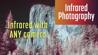 How to Shoot and Edit Infrared Photos with ANY Camera