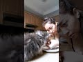 Sarah Ardhelia New Hot Live Instagram Stream 10