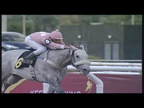 CAFE SILVER - 11/11/2007 C 09 - GRAN PREMIO NACIONAL G.1 - RECUERDOS Mas Hípica