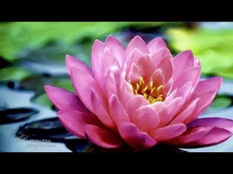 download lagu mp3 mp4 Infinie Tendresse, download lagu Infinie Tendresse gratis, unduh video klip Infinie Tendresse