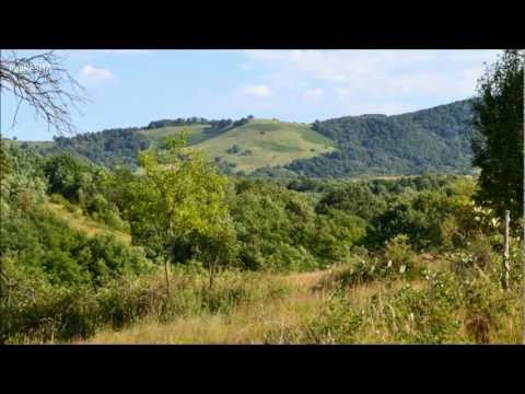 FÂRLIUG - Valea Mare - Cula Arenişului 549 m