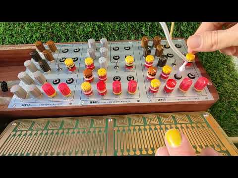 Serge by Random*Source Resonant Equalizer Eurorack Dr. Wiener Limited Tropical Styrofex Mica Ed.