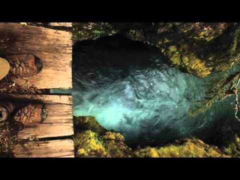 Listen to: Read the Bible in a Year, Day 347 (I Timothy 1 - 6)