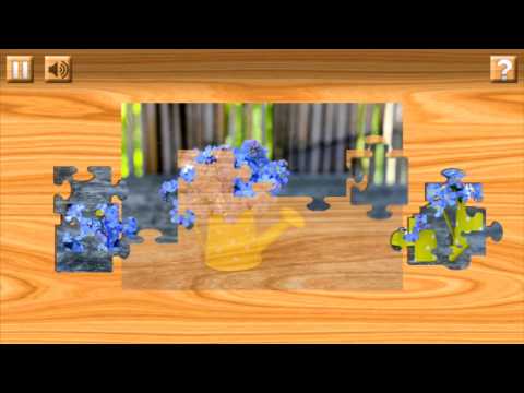 Classic Puzzle Video