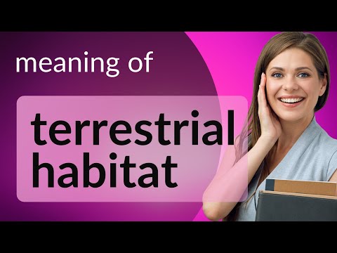 Exploring Our Earth: The Magic of Terrestrial Habitats