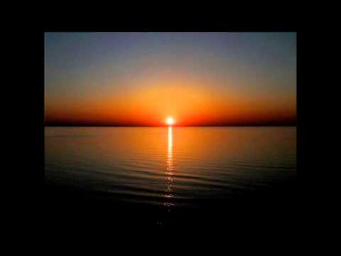 Сашо Роман - Птицо бяла