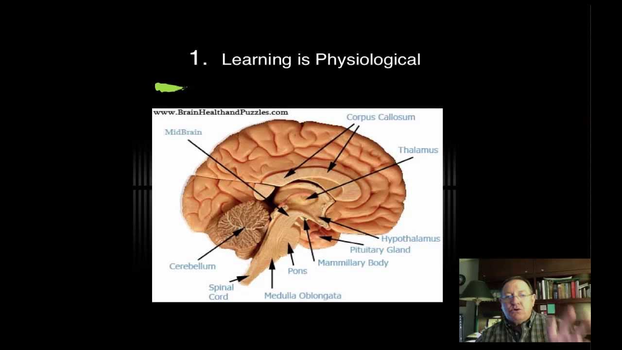 Brain Based Learning Lecture Feb2014