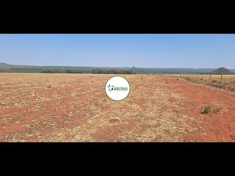 ARRENDAMENTO AGRÍCOLA EM GÓIAS /  IVOLANDIA-GO  / 800 HECTARES PARA LAVOURA