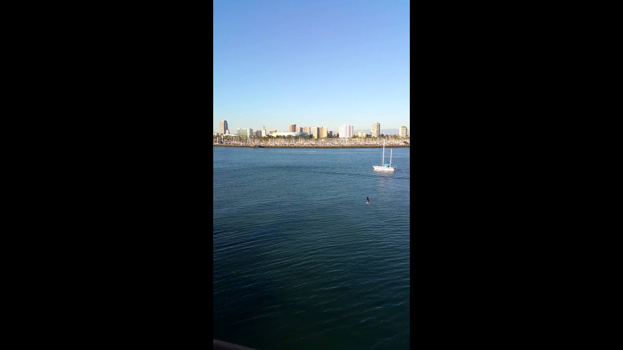 Carnival Miracle - Cabin 4228 - Video 1
