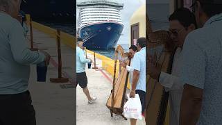 💯What An Art! | Amazing  View#viewersloverviews #shorts #cruiseship