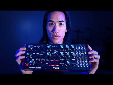 Moog Labyrinth image 2