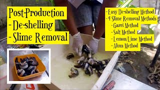 African Snail: Processing For Packaging