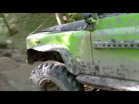 dachowanie -kocówka