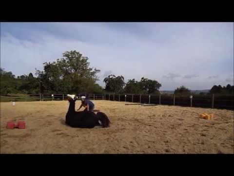 Travail en liberté progrès de Nessy