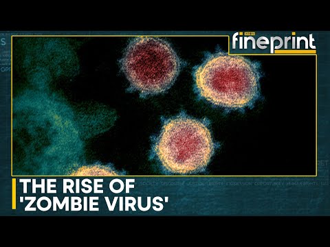 Scientists sound alarm for potential outbreak of Zombie Virus | WION Fineprint