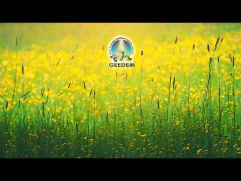 MÚSICAS   CLÁSSICAS PARA EVANGELHO NO LAR  (Sem fins lucrativos)