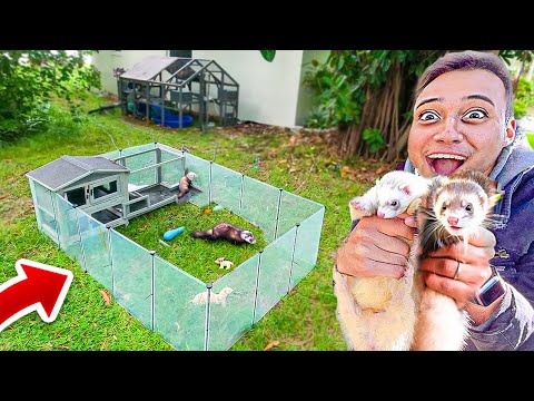 NOVA CASA para meus FURÕES BRINCAR EMBAIXO da ÁRVORE GIGANTE