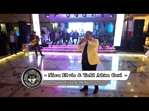 Nunta Elena & Rafael - 3 - Nicu Elvis & Taraful Adrian Caval - Lebada Neagra