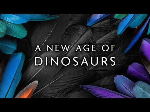 A New Age of Dinosaurs | A tribute to Birds