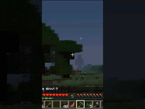 Terrifying Encounter with Minecraft Giant Steve