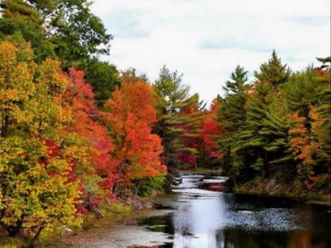 My Choice 382 - Canada 2003: Beautiful Canadian Fall