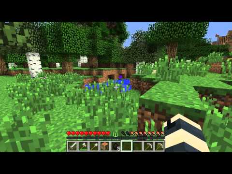 Let's Play: MineCraft 1.2.5 Mods w/ Akabane101 - Episode 1