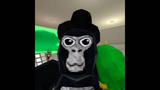 The barber did me dirty💀 #gorillatag