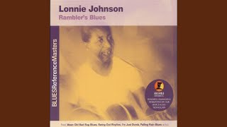 Mean Old Bad Bug Blues